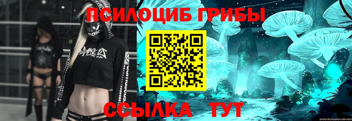 Псилоцибиновые грибы Magic Shrooms  Вход с VPN  Прокопьевск 